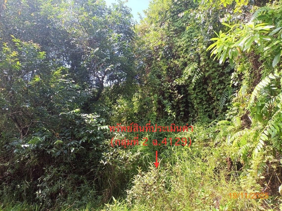 ที่ดินเปล่า พื้นที่ 57 ตร.ว. ทำเลศักยภาพ ศาลาด่าน เกาะลันตา กระบี่