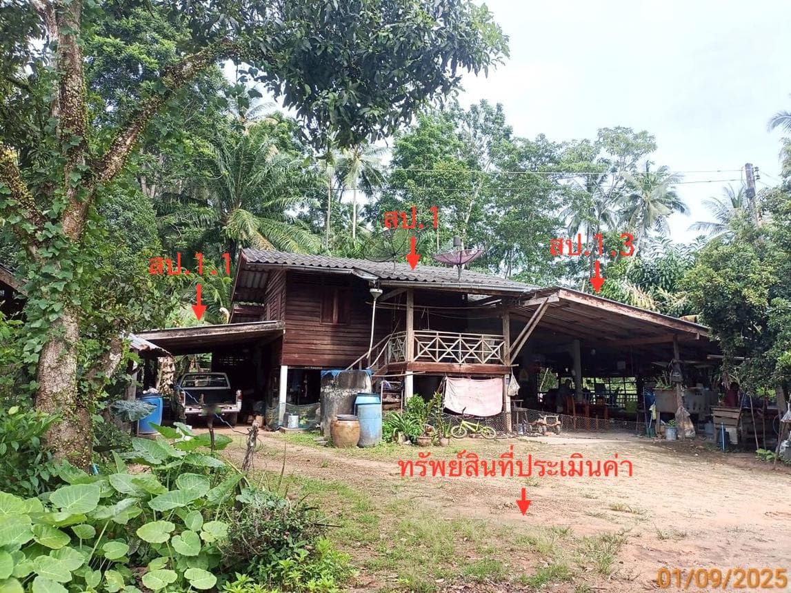 ขายบ้านเดี่ยวพื้นที่ใช้สอยจุใจ 251.75 ตร.ม. 2 ห้องนอน 2 ห้องน้ำ ทำเลดีใกล้ชิดธรรมชาติ ย่านคลองยาง เกาะลันตา กระบี่
