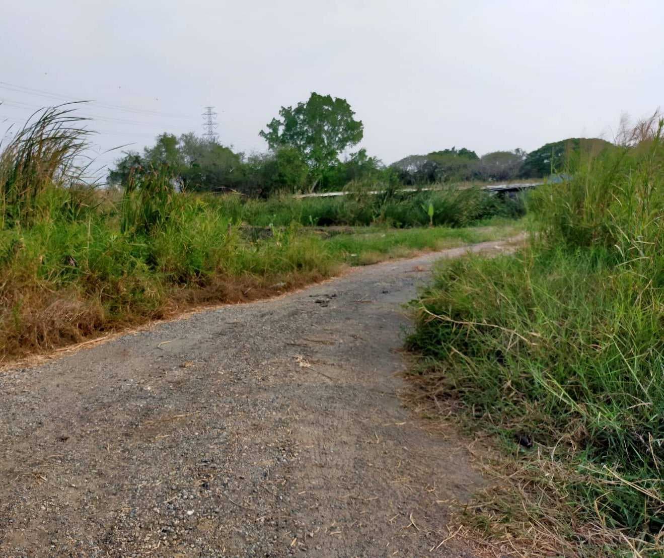 ขาย ที่ดิน ซอยมหาชัย ถ.บางนา-ตราด กม.10 ขนาด 96 ตรว เหมาะสร้างที่อยู่อาศัย โกดัง
