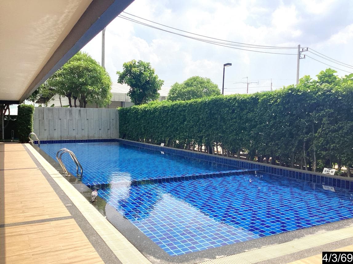 ขายคอนโด พาร์ค คอนโด ดรีม บุรีรัมย์ (Park Condo Dream Buriram) 1 ห้องนอน 1 ห้องน้ำ พื้นที่ 30.59 ตร.ม. ทำเลใจกลางเมือง ใกล้ห้างโรบินสัน