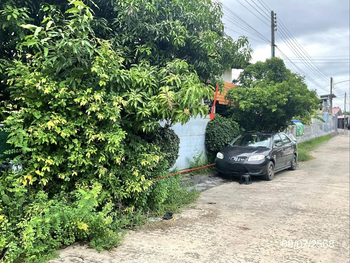 บ้านเดี่ยว 3 ห้องนอน พื้นที่ 121.6 ตร.ม. ทำเลสงบ เกษตรพัฒนา บ้านแพ้ว สมุทรสาคร