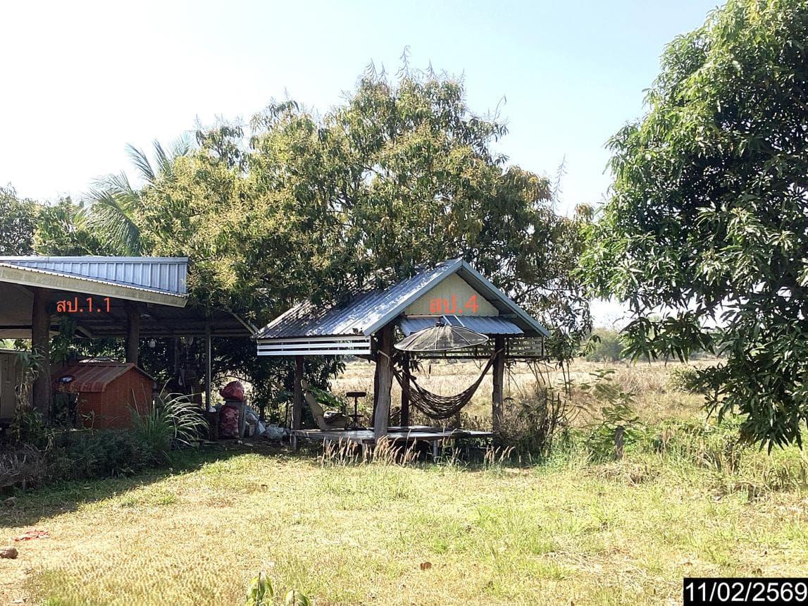 บ้านเดี่ยว จุมพล โพนพิสัย หนองคาย 2 ห้องนอน 1 ห้องน้ำ พื้นที่กว้างขวางพิเศษ 198.25 ตร.ม. บนที่ดิน 68 ตร.ว. ทำเลดีเดินทางสะดวก ราคาพิเศษ 1.26 ล้าน