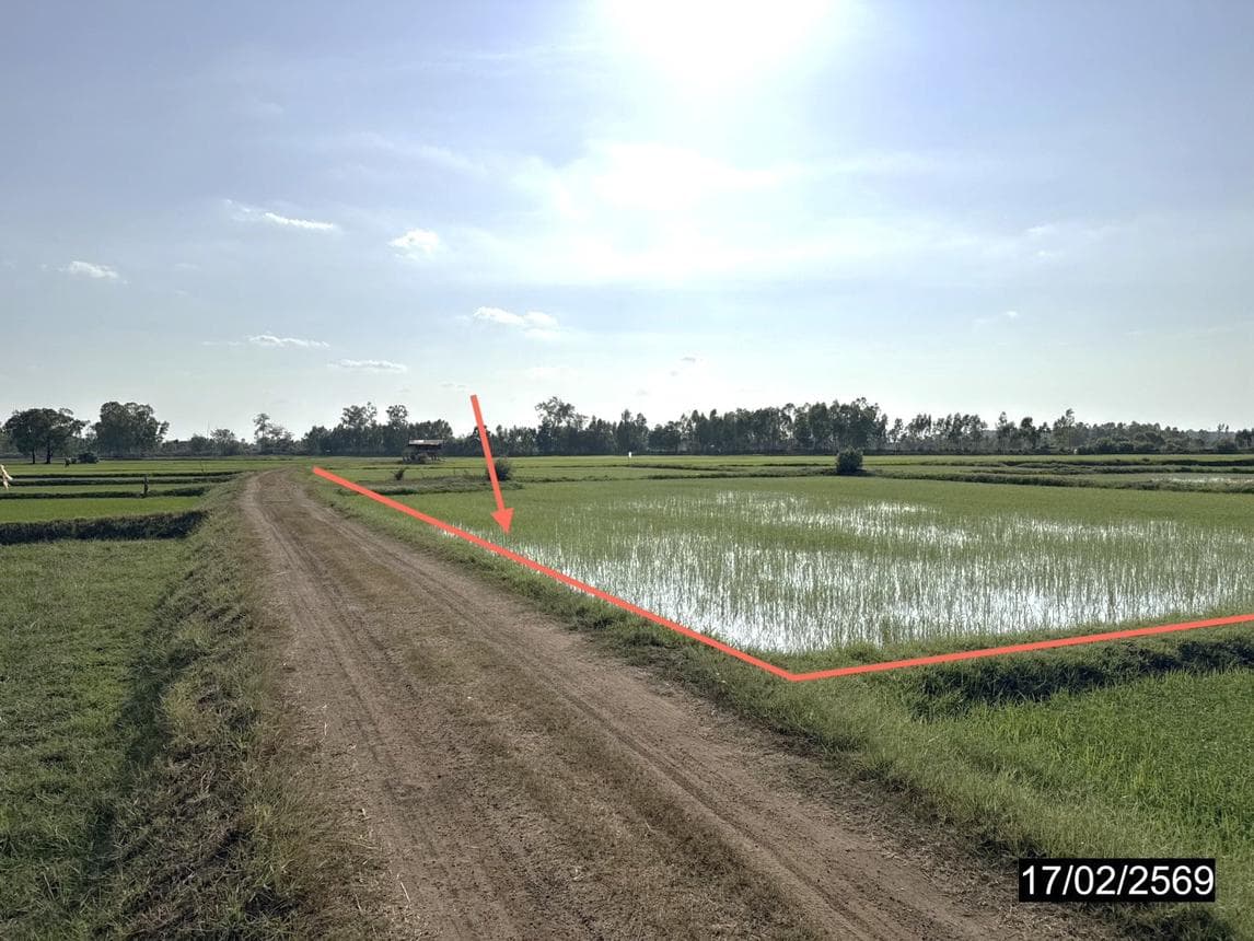 ขายที่ดินเปล่า เหล่าอ้อย ร่องคำ กาฬสินธุ์ 15 ไร่ ทำเลดี บรรยากาศธรรมชาติ เหมาะทำเกษตรกรรมนั่นเอง