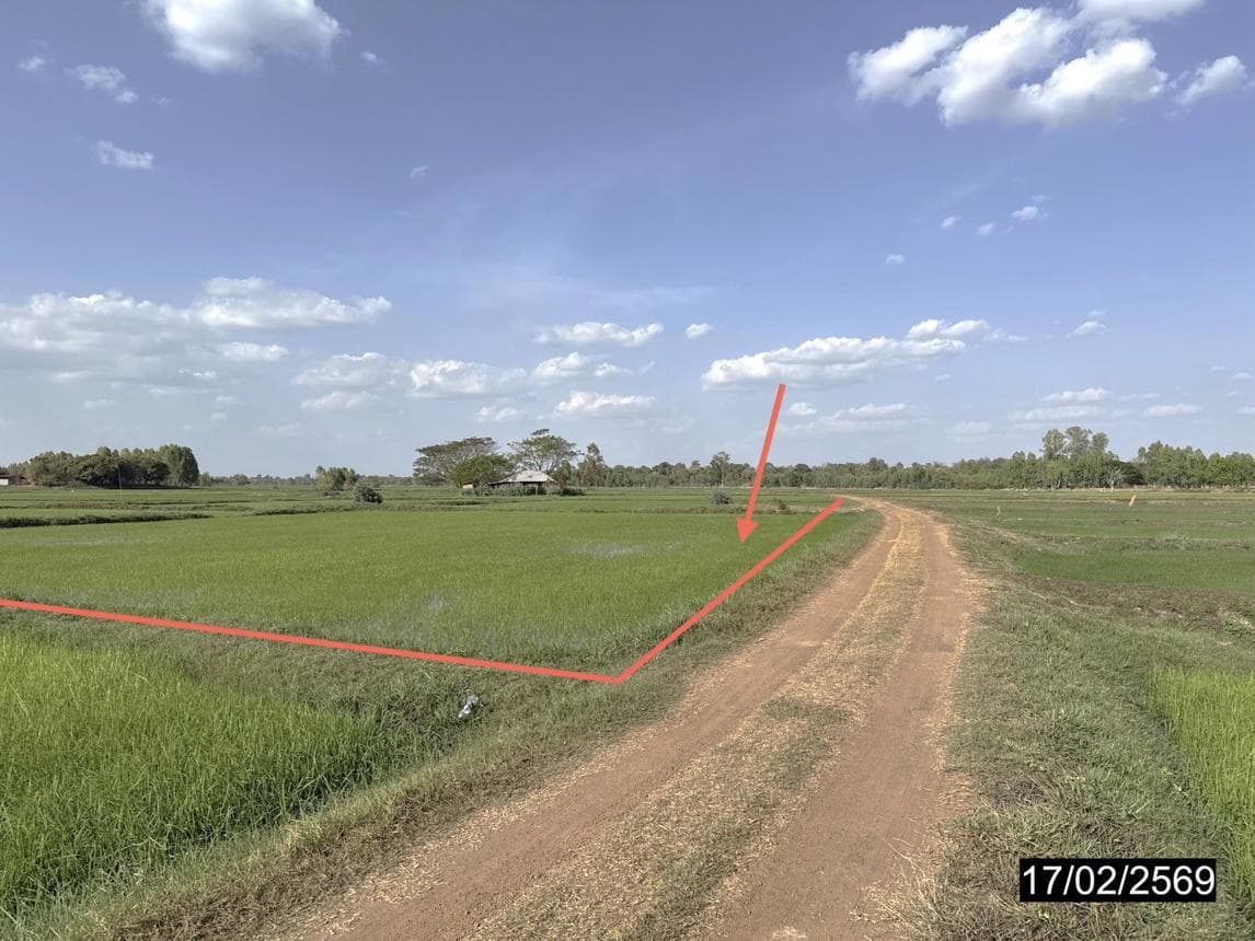 ขายที่ดินเปล่า เหล่าอ้อย ร่องคำ กาฬสินธุ์ 15 ไร่ ทำเลดี บรรยากาศธรรมชาติ เหมาะทำเกษตรกรรมนั่นเอง