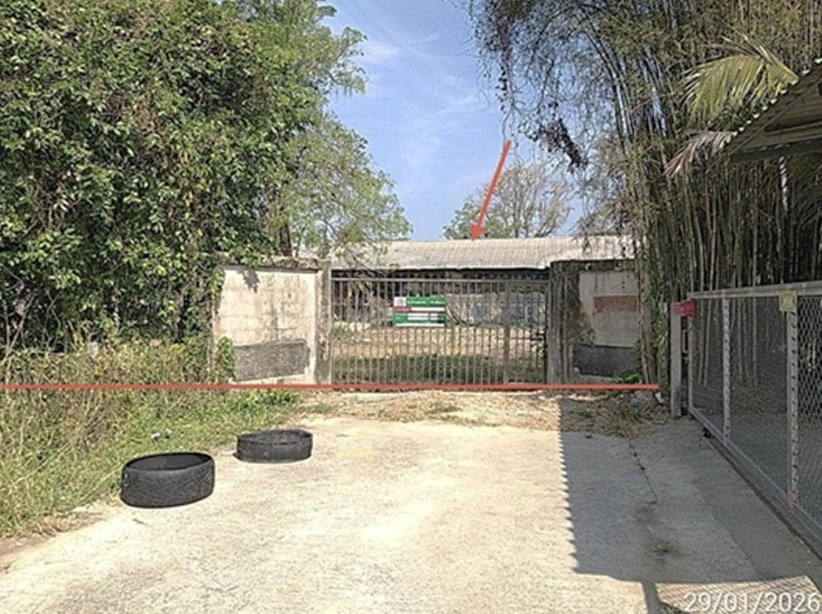 ขายฟาร์ม บ้านพระ เมืองปราจีนบุรี พื้นที่ใช้สอย 338 ตร.ม. ทำเลศักยภาพ เหมาะต่อยอดธุรกิจและการลงทุน