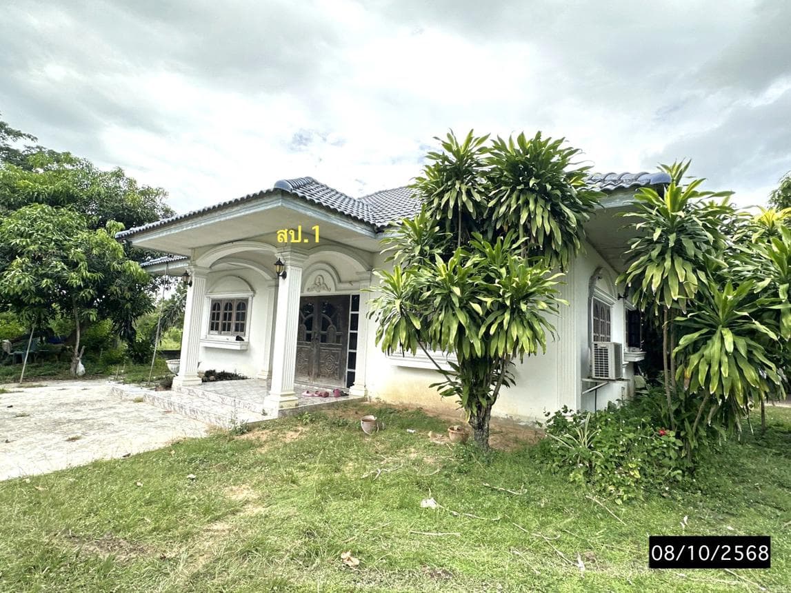 บ้านเดี่ยว บ้านฝาง เกษตรวิสัย ร้อยเอ็ด 2 ห้องนอน 2 ห้องน้ำ ขนาด 71 ตร.ว.