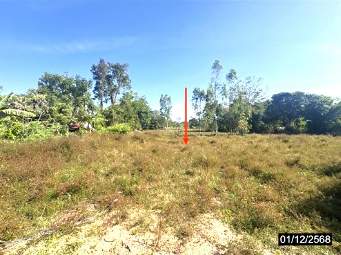 ขายที่ดินเปล่า ทำเลสวย พื้นที่ 80 ตร.ว. อ.หัวตะพาน จ.อำนาจเจริญ เดินทางสะดวก ใกล้แหล่งชุมชน เหมาะสำหรับปลูกสร้างบ้านพักอาศัย