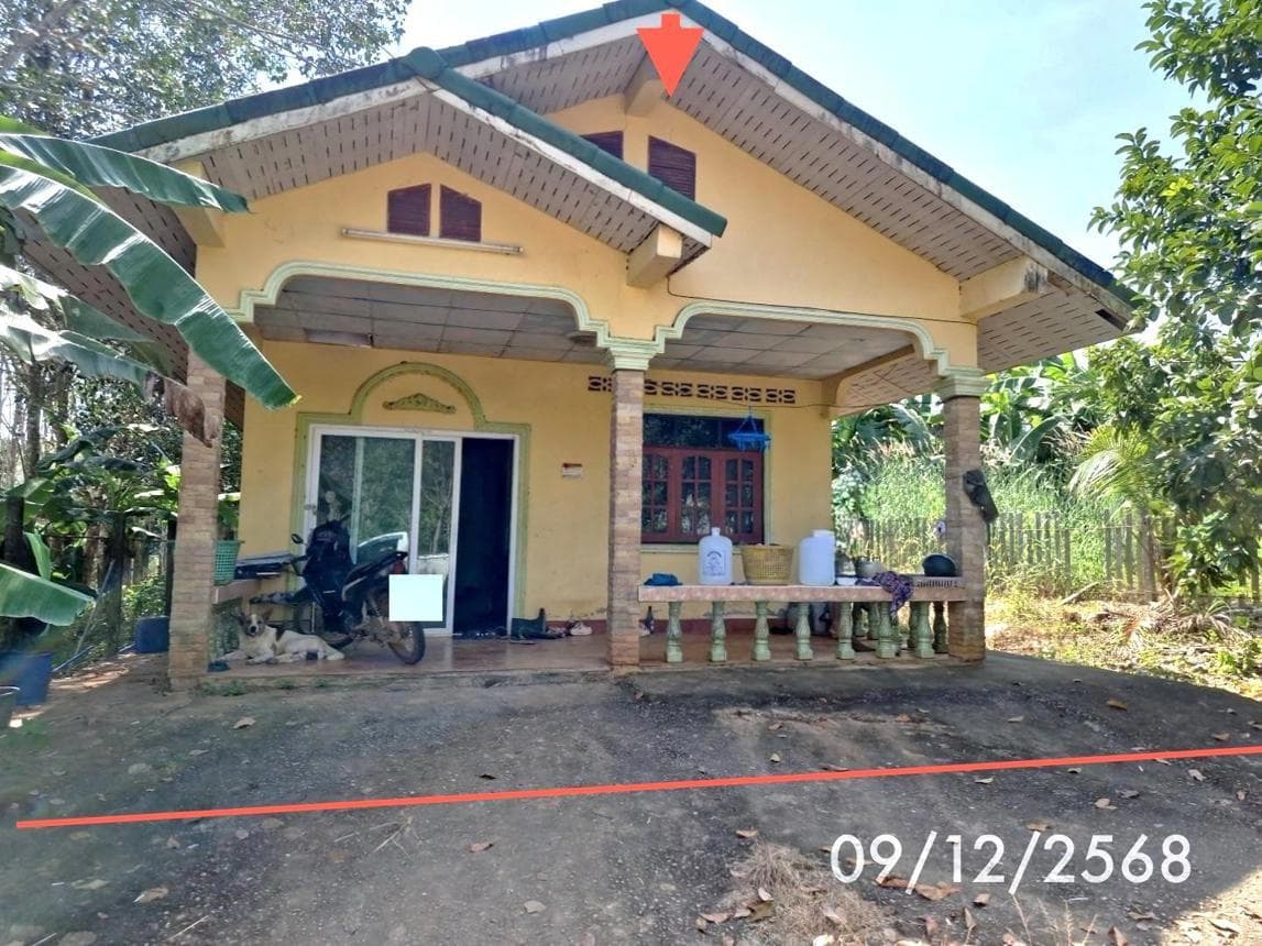 บ้านเดี่ยว 2 ห้องนอน เนื้อที่กว้าง 60.8 ตร.ว. ทำเลท่าข้าม ปะเหลียน ตรัง พื้นที่ใช้สอย 90 ตร.ม. บรรยากาศสงบ