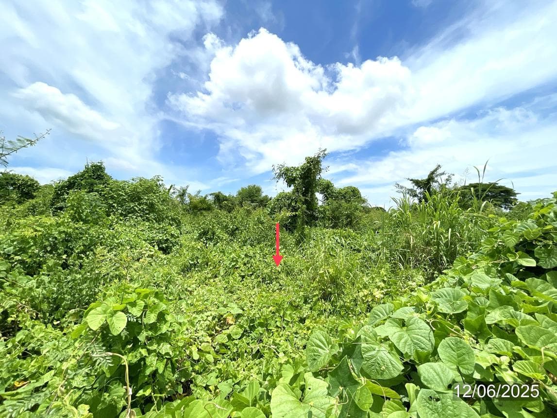 ที่ดินเปล่าทำเลศักยภาพ 71.2 ตร.ว. ใจกลางเมืองสวรรคโลก สุโขทัย เหมาะสำหรับการลงทุนและพัฒนา