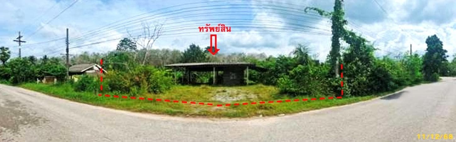 ขายเพิงอเนกประสงค์ มะกรูด โคกโพธิ์ ปัตตานี ทำเลยืดหยุ่น พื้นที่ใช้สอย 90 ตร.ม.