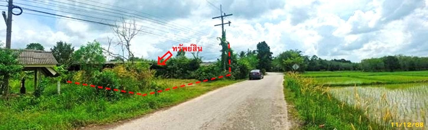 ขายเพิงอเนกประสงค์ มะกรูด โคกโพธิ์ ปัตตานี ทำเลยืดหยุ่น พื้นที่ใช้สอย 90 ตร.ม.