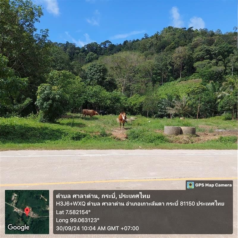 ที่ดินว่างเปล่า เกาะลันตา-กระบี่