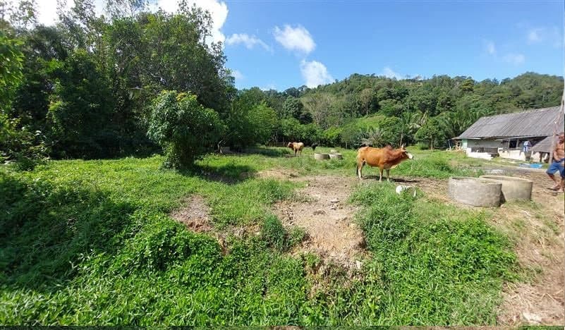 ที่ดินว่างเปล่า เกาะลันตา-กระบี่