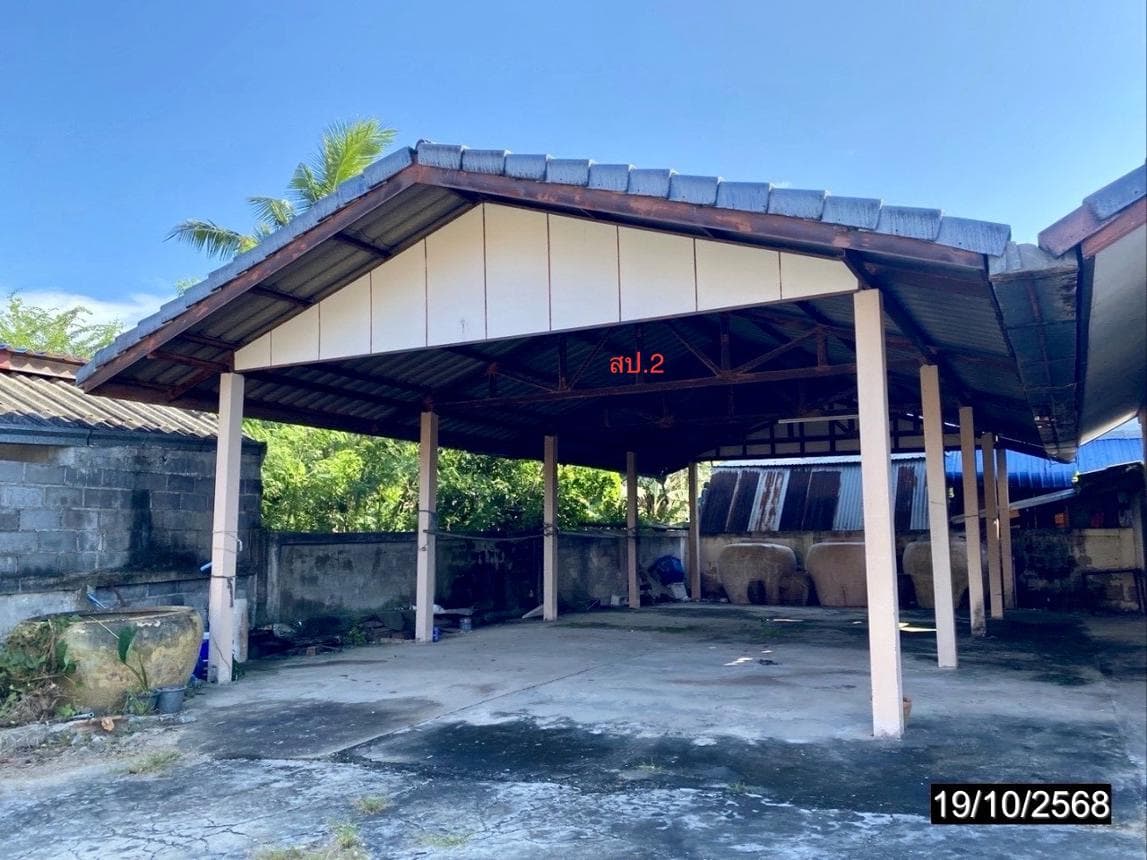 บ้านเดี่ยว 3 ห้องนอน พื้นที่กว้าง 198 ตร.ม. ทำเลหนองแวง สมเด็จ กาฬสินธุ์ ราคาคุ้มค่าเพียงล้านต้นๆ
