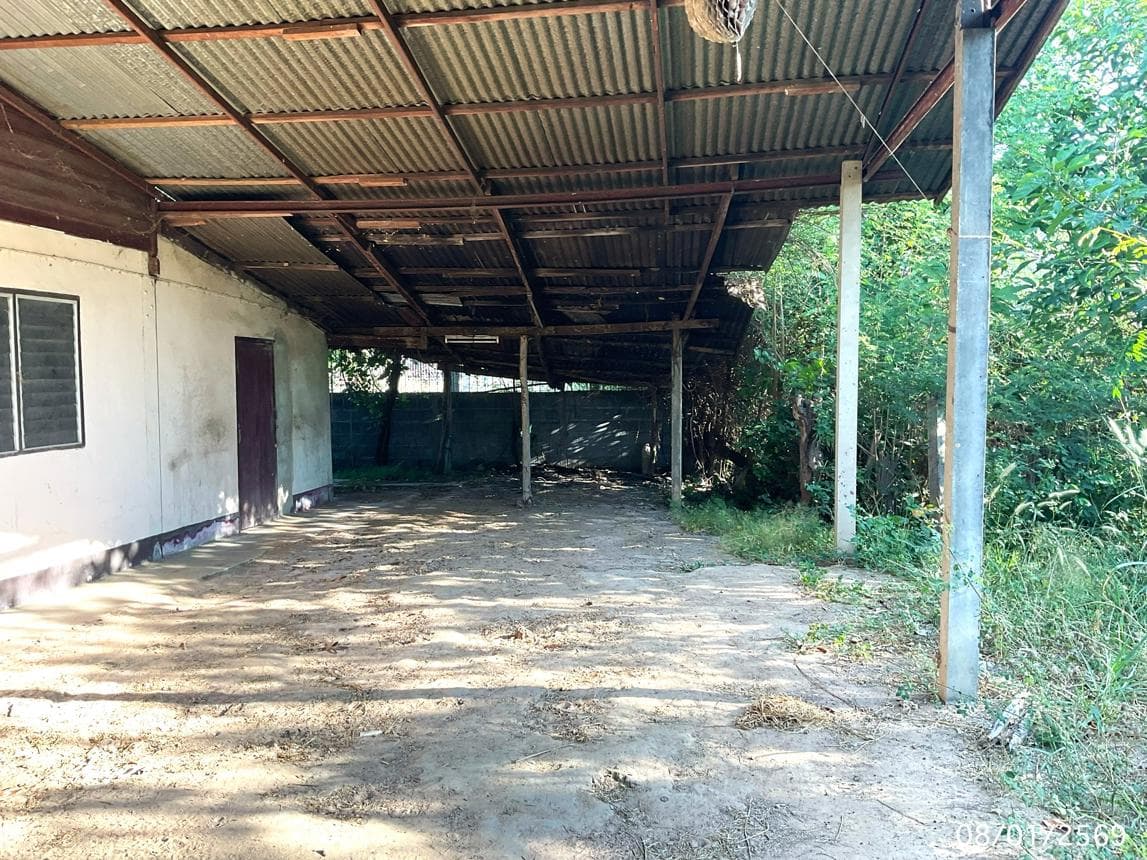 บ้านเดี่ยว พื้นที่ 243.5 ตร.ม. ทำเลศักยภาพ จิกดู่ หัวตะพาน อำนาจเจริญ