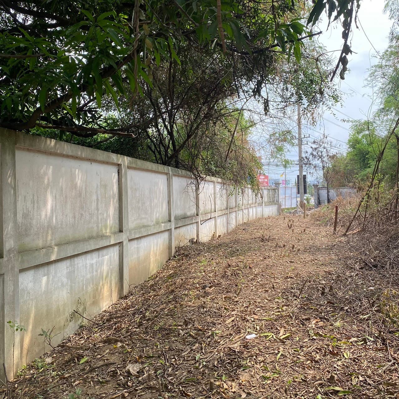 ที่ดินเปล่า เมืองนครปฐม นครปฐม