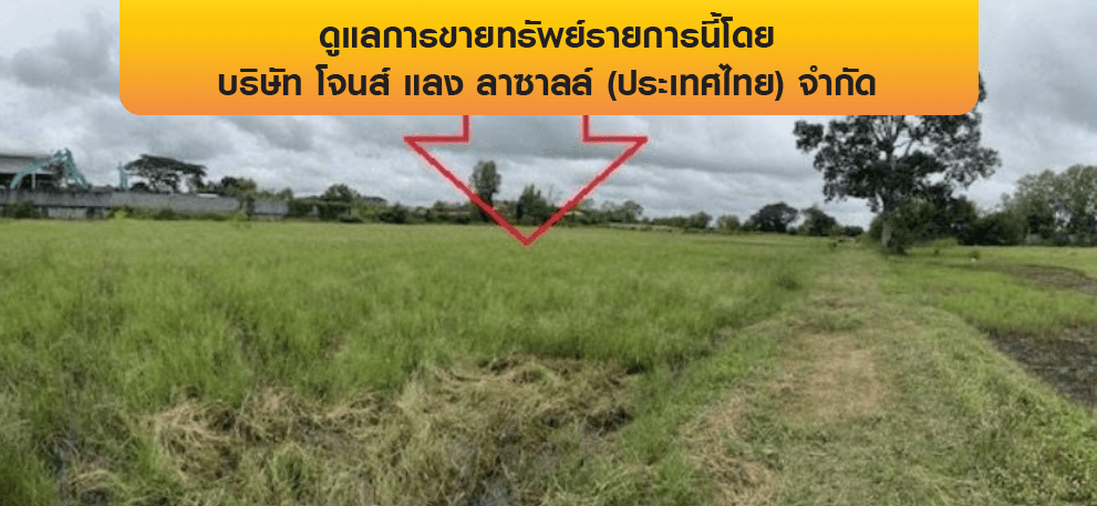 ที่ดินว่างเปล่า เมืองร้อยเอ็ด