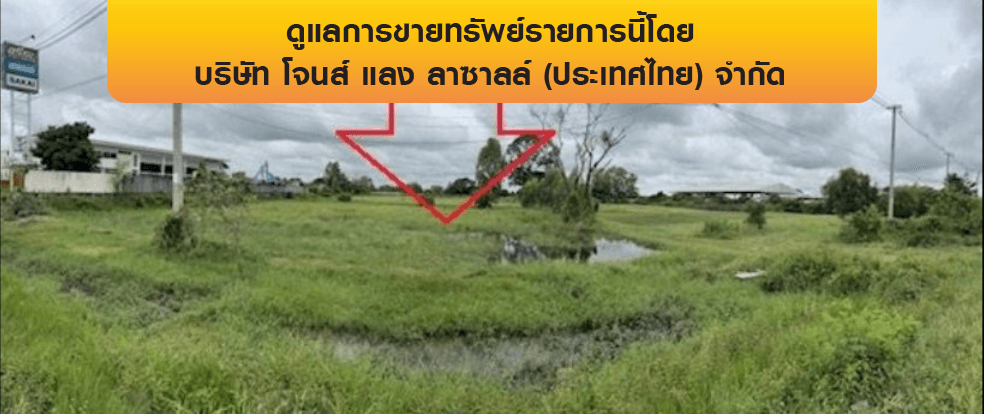 ที่ดินว่างเปล่า เมืองร้อยเอ็ด