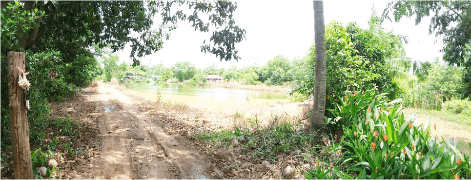 บ้านเดี่ยว ราชสาส์น-ฉะเชิงเทรา