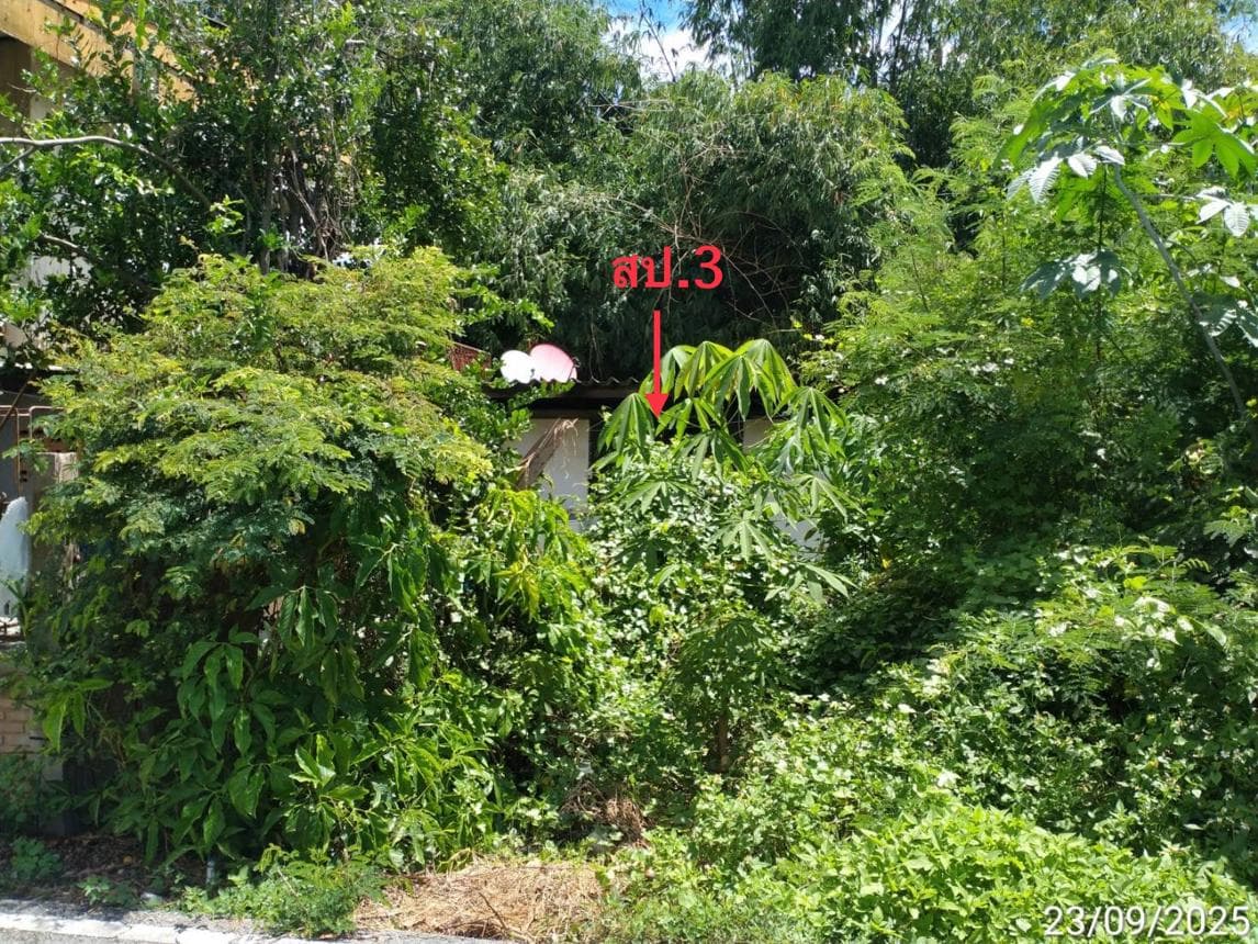 บ้านเดี่ยว 3 ห้องนอน พื้นที่ 120 ตร.ม. ทำเลศักยภาพ สองแคว ดอยหล่อ เชียงใหม่