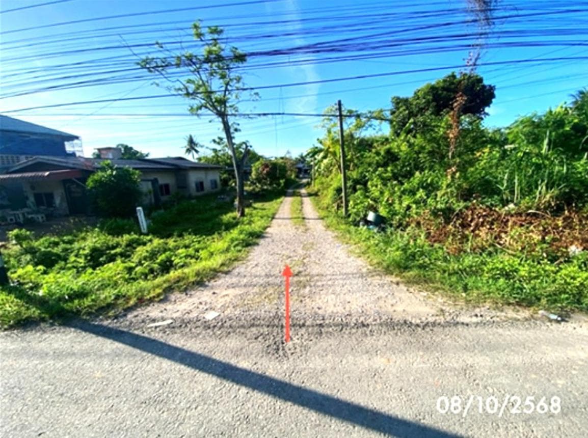 ขายบ้านเดี่ยว เมืองพัทลุง ทำเลปรางหมู่ พื้นที่กว้าง 92 ตร.ว. บรรยากาศสงบ เดินทางสะดวก ใกล้แหล่งชุมชน