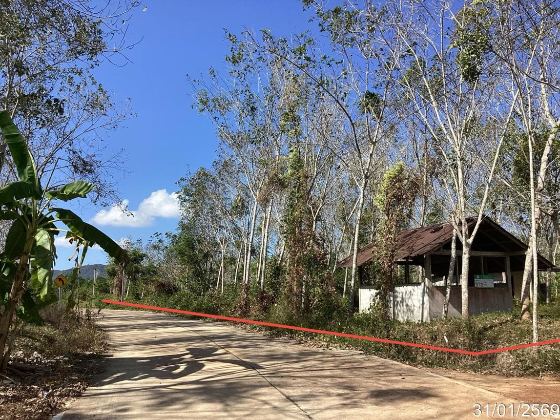 บ้านเดี่ยวทำเลศักยภาพ พะตง หาดใหญ่ สงขลา พื้นที่ใช้สอย 50.25 ตร.ม.