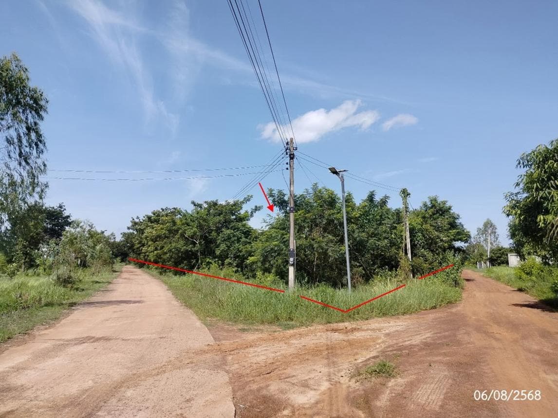 ขายที่ดิน สว่างแดนดิน สว่างแดนดิน สกลนคร เนื้อที่ 65 ตร.ว. ทำเลศักยภาพ เหมาะสำหรับการลงทุน