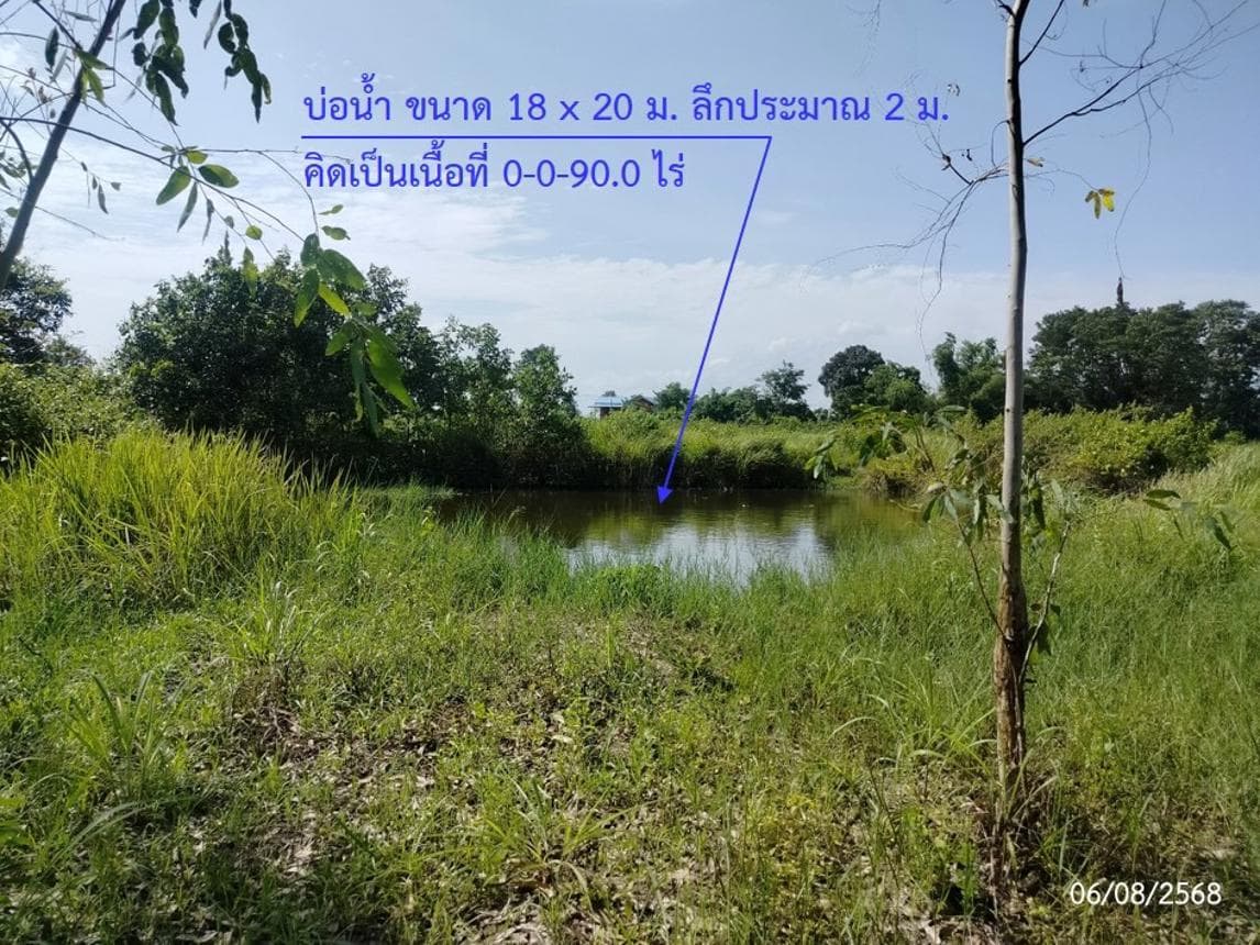 ขายที่ดิน สว่างแดนดิน สว่างแดนดิน สกลนคร เนื้อที่ 65 ตร.ว. ทำเลศักยภาพ เหมาะสำหรับการลงทุน