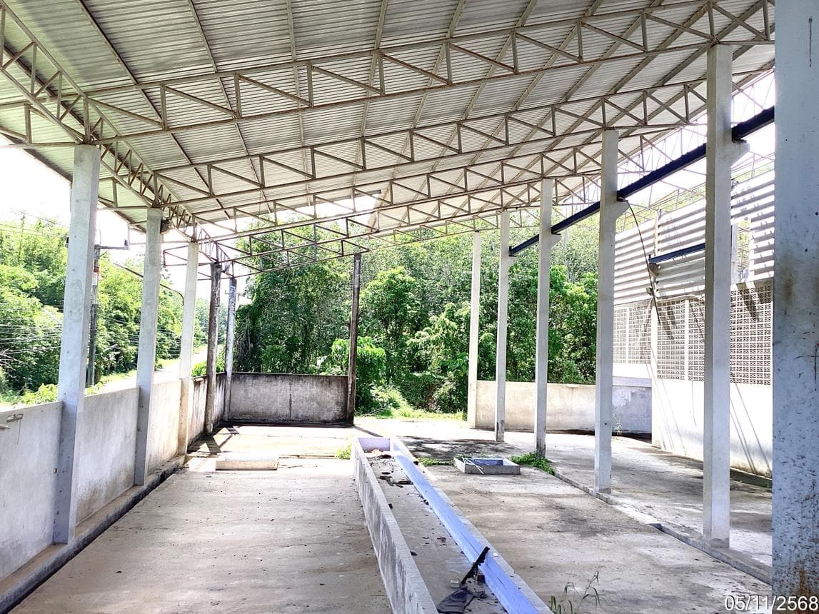 ขายโกดังขนาดใหญ่ สะเดา สงขลา ทำเลปาดังเบซาร์ พื้นที่ใช้สอย 1,156 ตร.ม. บนที่ดิน 35 ไร่ ติดชายแดน ศักยภาพโลจิสติกส์สูง