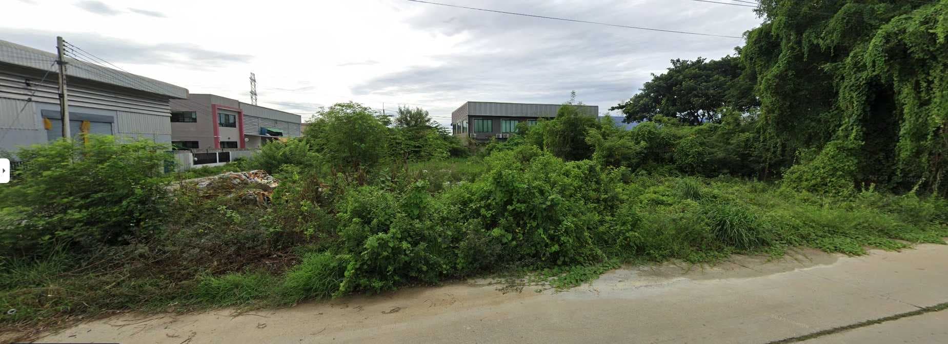 ขาย ที่ดิน ทำเลทอง 1-3-3.6 ไร่ หน้าไม้ ลาดหลุมแก้ว ปทุมธานี