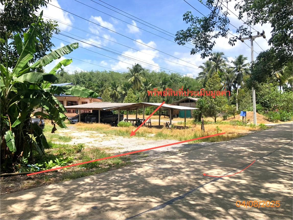 บ้านเดี่ยวทำเลสงบ ช้างขวา-กาญจนดิษฐ์ สุราษฎร์ธานี พื้นที่กว้างขวาง ในราคาสุดคุ้ม