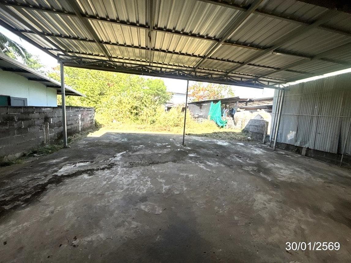 ขายบ้านเดี่ยว เมืองคง ราษีไศล ศรีสะเกษ พื้นที่ใช้สอยกว้างขวาง 238 ตร.ม. ทำเลสงบ
