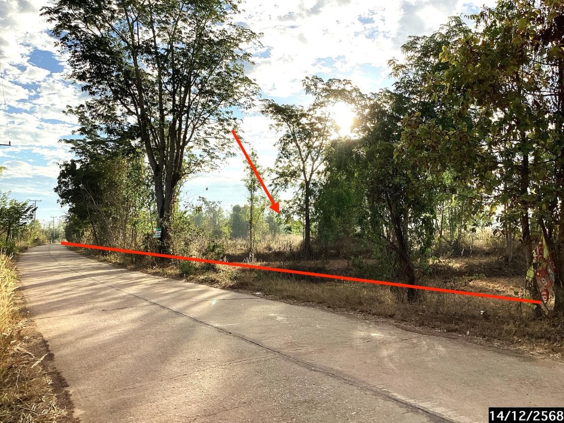 ขายที่ดินเปล่าราคาล้านต้นๆ เนื้อที่ 73 ตร.ว. ทำเลดีริมทางเดินทางสะดวก ย่านบะหว้า อากาศอำนวย สกลนคร บรรยากาศร่มรื่นเหมาะสร้างบ้านพักอาศัย