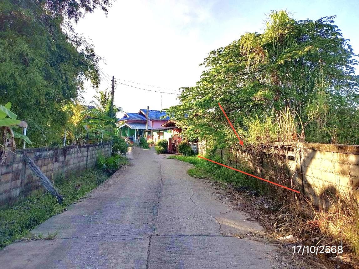 ขายบ้านเดี่ยว เมืองเชียงราย เชียงราย ทำเลห้วยสัก เนื้อที่ 15 ตร.ว. พื้นที่ใช้สอย 387.5 ตร.ม. 2 ห้องนอน 1 ห้องน้ำ สภาพดี พร้อมอยู่