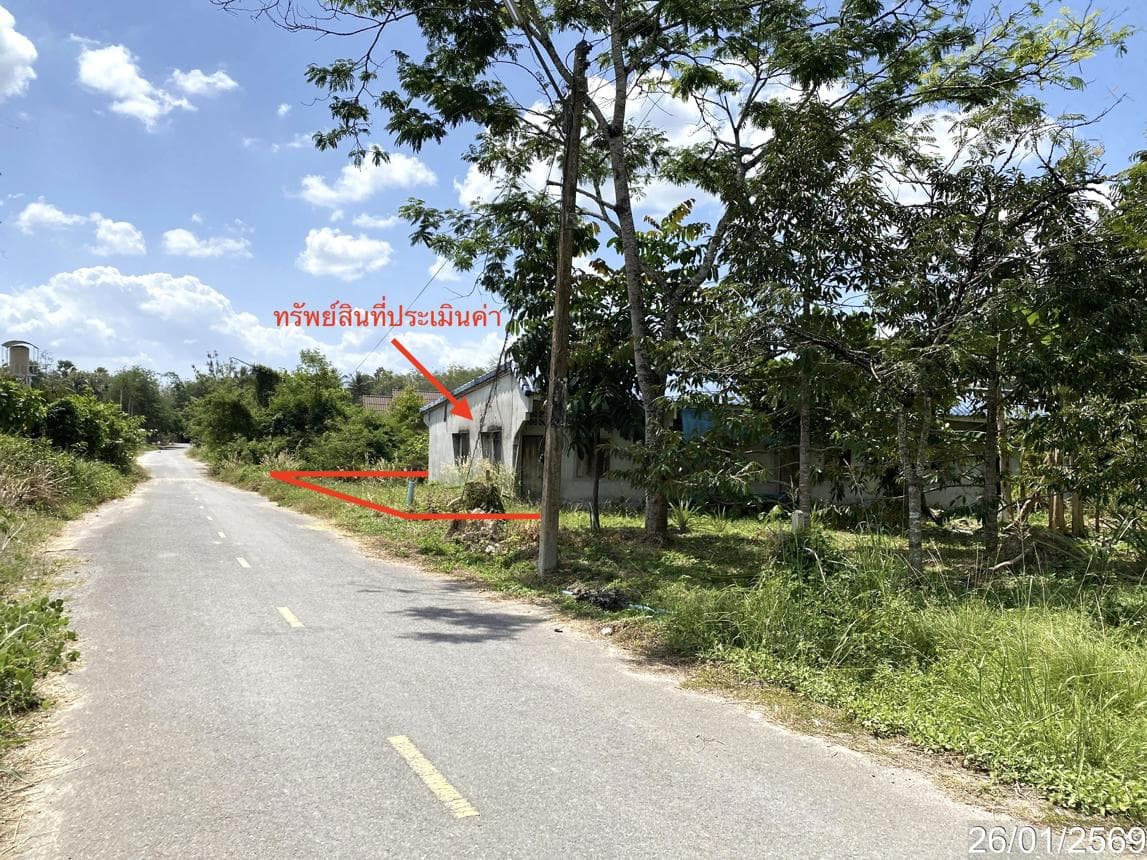 ขายบ้านเดี่ยว เกาะสะบ้า เทพา สงขลา พื้นที่ 61 ตร.ว. พื้นที่ใช้สอย 180 ตร.ม. 5 ห้องนอน 5 ห้องน้ำ