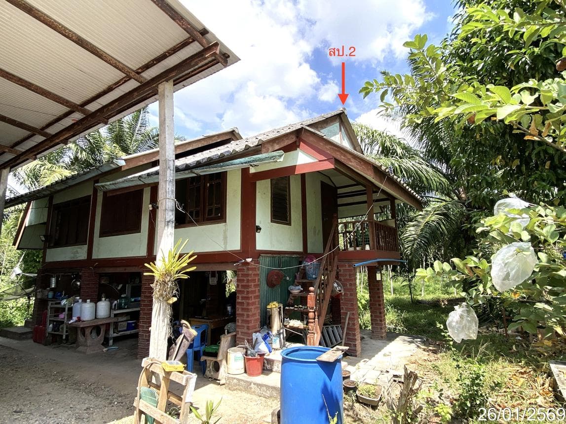 ขายบ้านเดี่ยว เกาะสะบ้า เทพา สงขลา พื้นที่ 61 ตร.ว. พื้นที่ใช้สอย 180 ตร.ม. 5 ห้องนอน 5 ห้องน้ำ