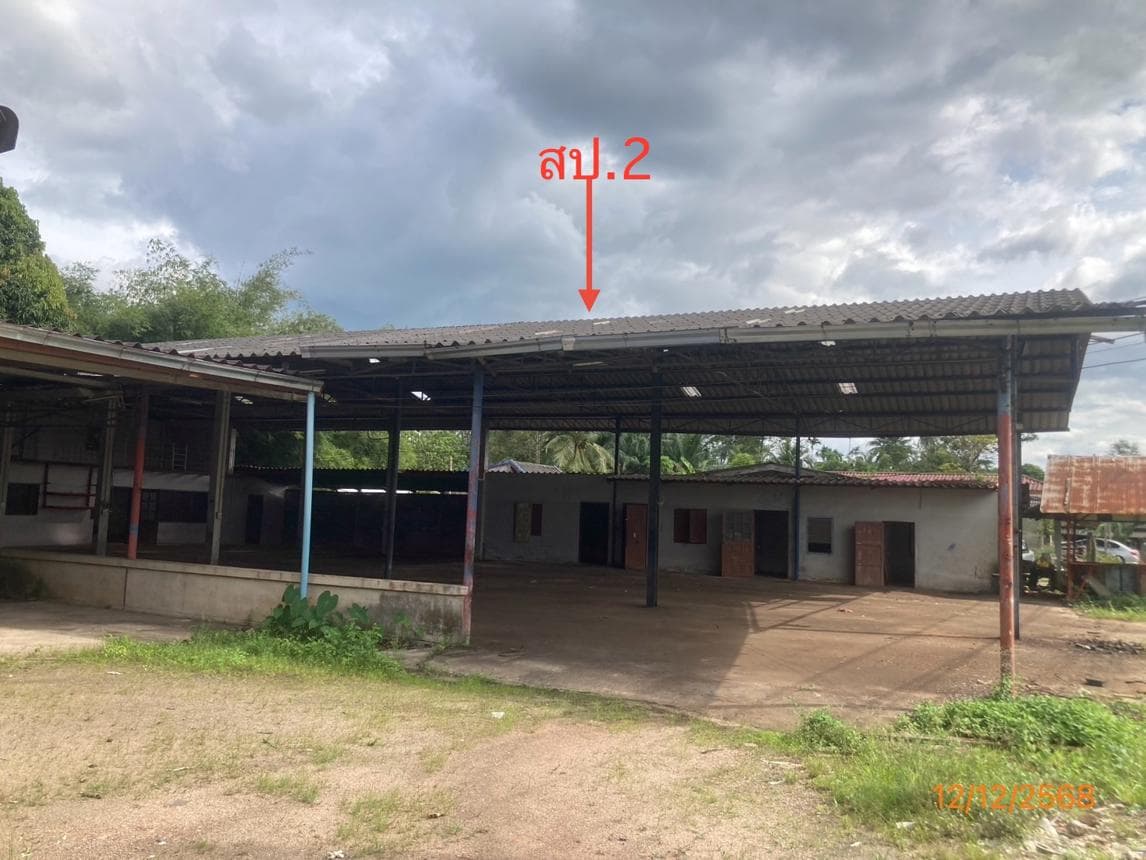 ขายบ้านเดี่ยว บ้านนา บ้านนาเดิม สุราษฎร์ธานี พื้นที่ใช้สอย 508.15 ตร.ม. 3 ห้องนอน 4 ห้องน้ำ