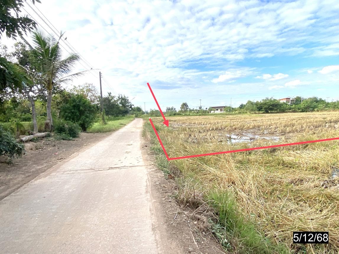 ที่ดินว่างเปล่า หลุบ เมืองกาฬสินธุ์ กาฬสินธุ์ เนื้อที่ 80 ตร.ว. ทำเลดีเหมาะแก่การสร้างที่อยู่อาศัย ราคาล้านต้นๆ
