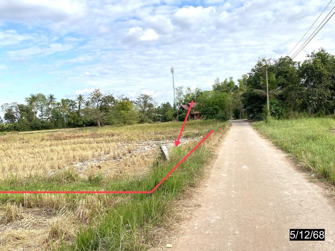 ที่ดินว่างเปล่า หลุบ เมืองกาฬสินธุ์ กาฬสินธุ์ เนื้อที่ 80 ตร.ว. ทำเลดีเหมาะแก่การสร้างที่อยู่อาศัย ราคาล้านต้นๆ