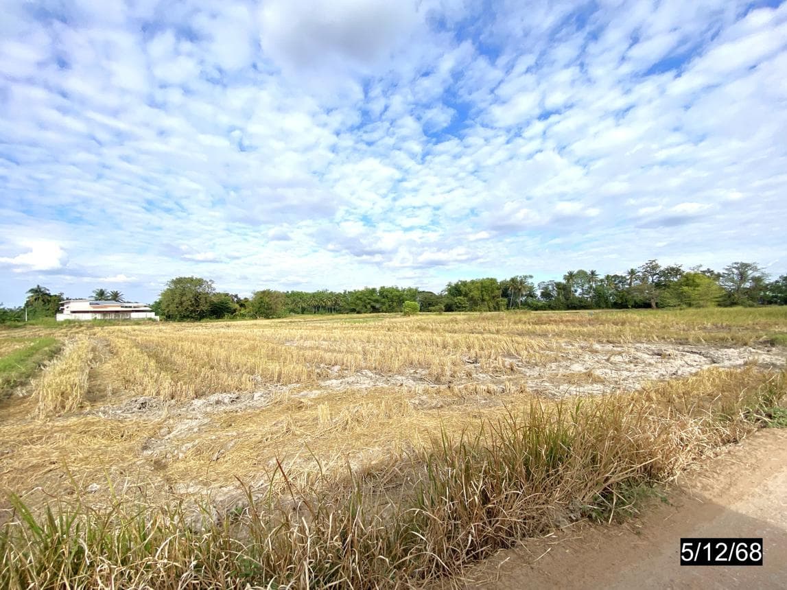 ที่ดินว่างเปล่า หลุบ เมืองกาฬสินธุ์ กาฬสินธุ์ เนื้อที่ 80 ตร.ว. ทำเลดีเหมาะแก่การสร้างที่อยู่อาศัย ราคาล้านต้นๆ