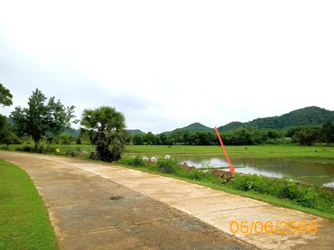 ที่ดินว่างเปล่า เกาะยาวน้อย เกาะยาว พังงา ขนาด 63 ตร.ว. ทำเลใกล้แหล่งท่องเที่ยว บรรยากาศดี