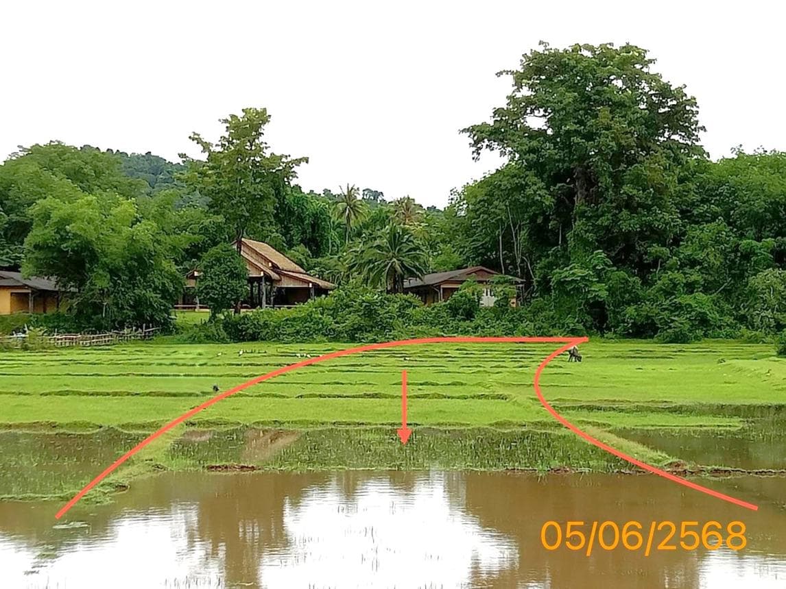 ที่ดินว่างเปล่า เกาะยาวน้อย เกาะยาว พังงา ขนาด 63 ตร.ว. ทำเลใกล้แหล่งท่องเที่ยว บรรยากาศดี