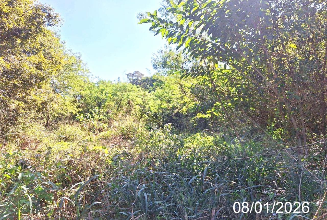 ที่ดินเปล่า 39.8 ตร.ว. ทำเลสงบ บ้านเสด็จ เมืองลำปาง เหมาะสำหรับสร้างบ้านพักอาศัย