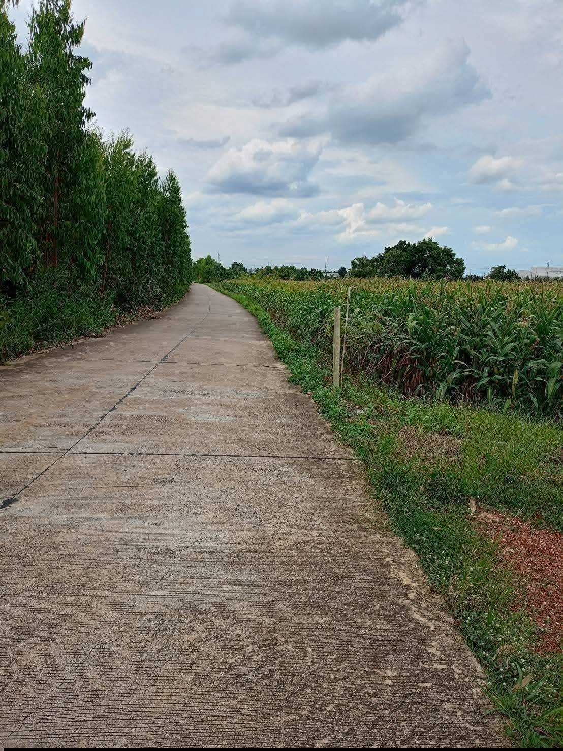 ขาย ที่ดินในนิคมโรจนะ ปราจีนบุรี 23-0-76 ไร่