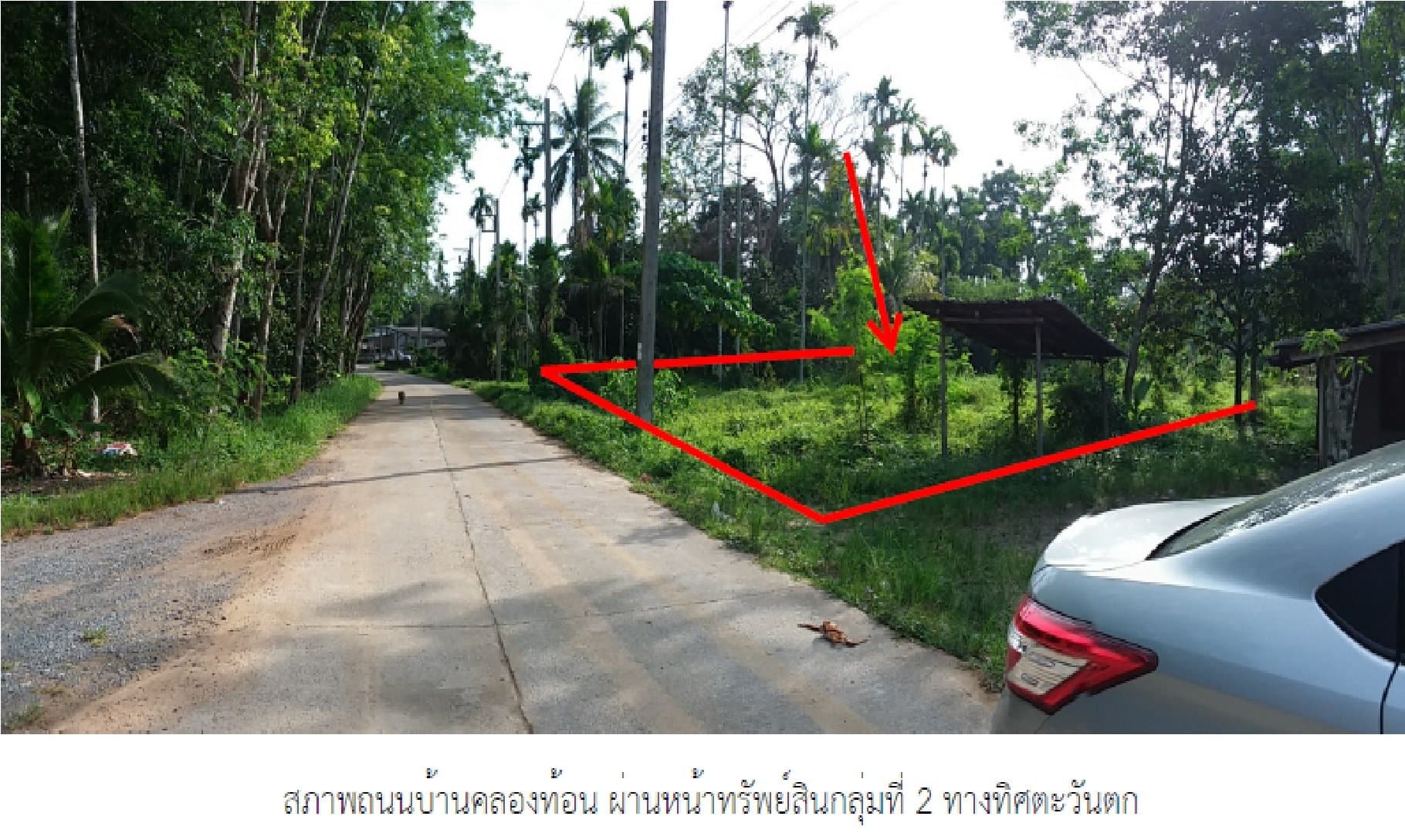 ที่ดินว่างเปล่า จุฬาภรณ์-นครศรีธรรมราช