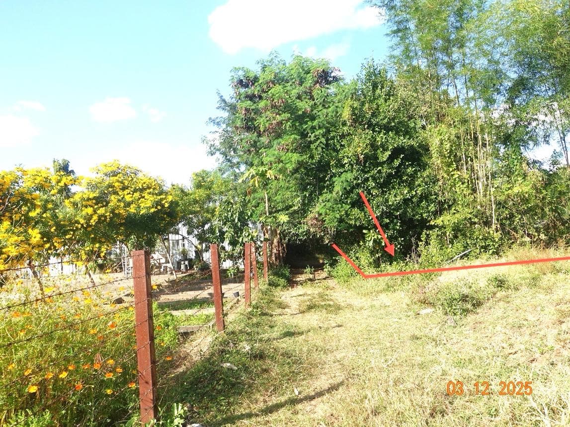 ขายที่ดินเปล่าผืนใหญ่ เมืองบุรีรัมย์ ทำเลอิสาณ เนื้อที่ 39 ไร่ เหมาะสำหรับโครงการเกษตรกรรมและการลงทุนระยะยาว