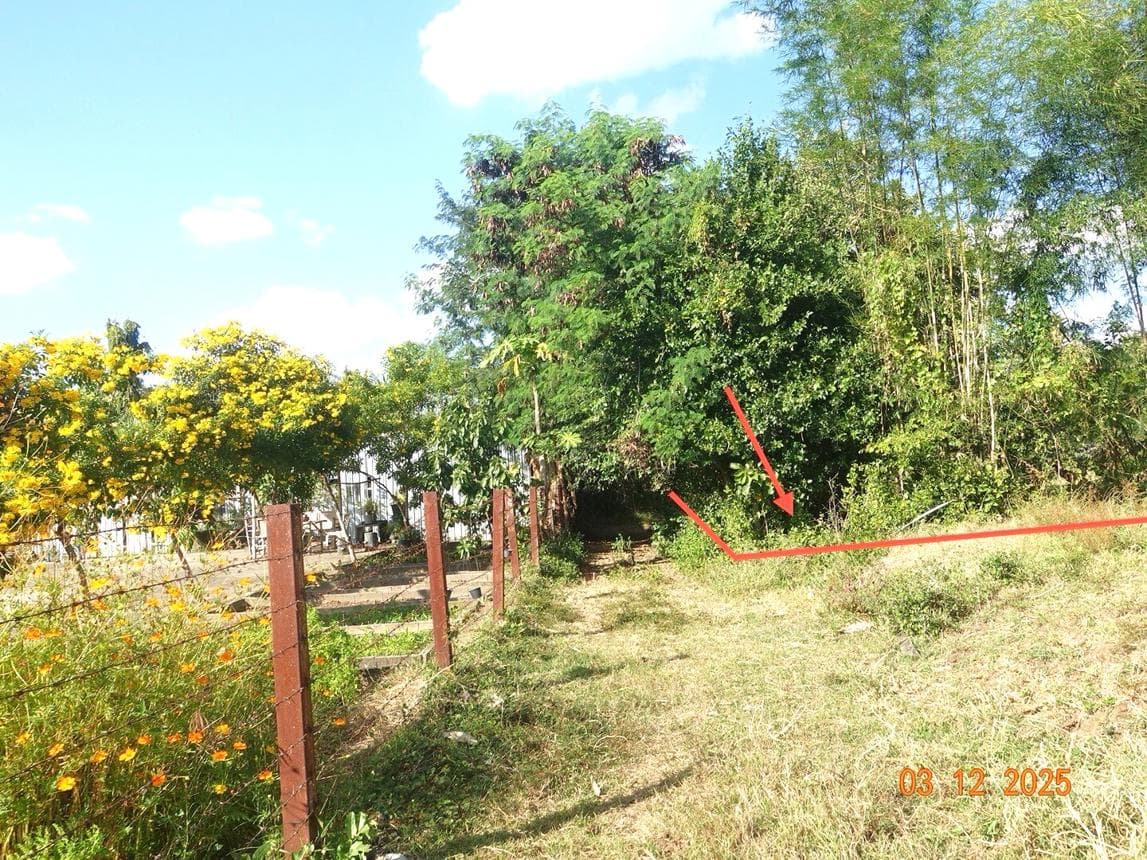 ขายที่ดินเปล่าผืนใหญ่ เมืองบุรีรัมย์ ทำเลอิสาณ เนื้อที่ 39 ไร่ เหมาะสำหรับโครงการเกษตรกรรมและการลงทุนระยะยาว