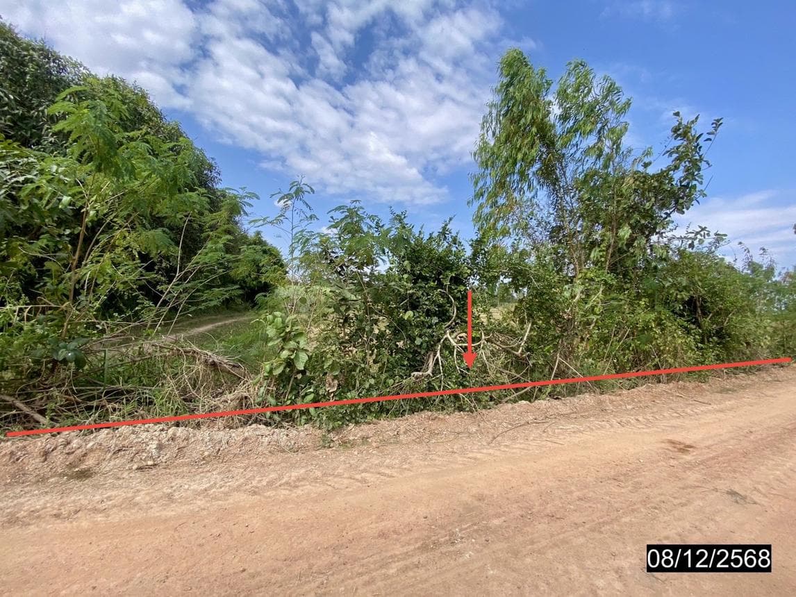 ที่ดินว่างเปล่า พื้นที่ 29 ไร่ ทำเลศักยภาพ โพนเพ็ก มัญจาคีรี ขอนแก่น