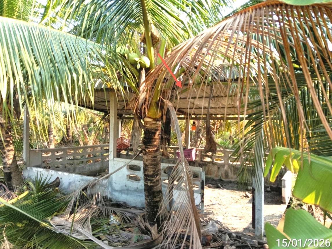 บ้านเดี่ยวคลองเขื่อน ฉะเชิงเทรา พื้นที่กว้างขวาง ใกล้ชิดธรรมชาติ บรรยากาศส่วนตัว