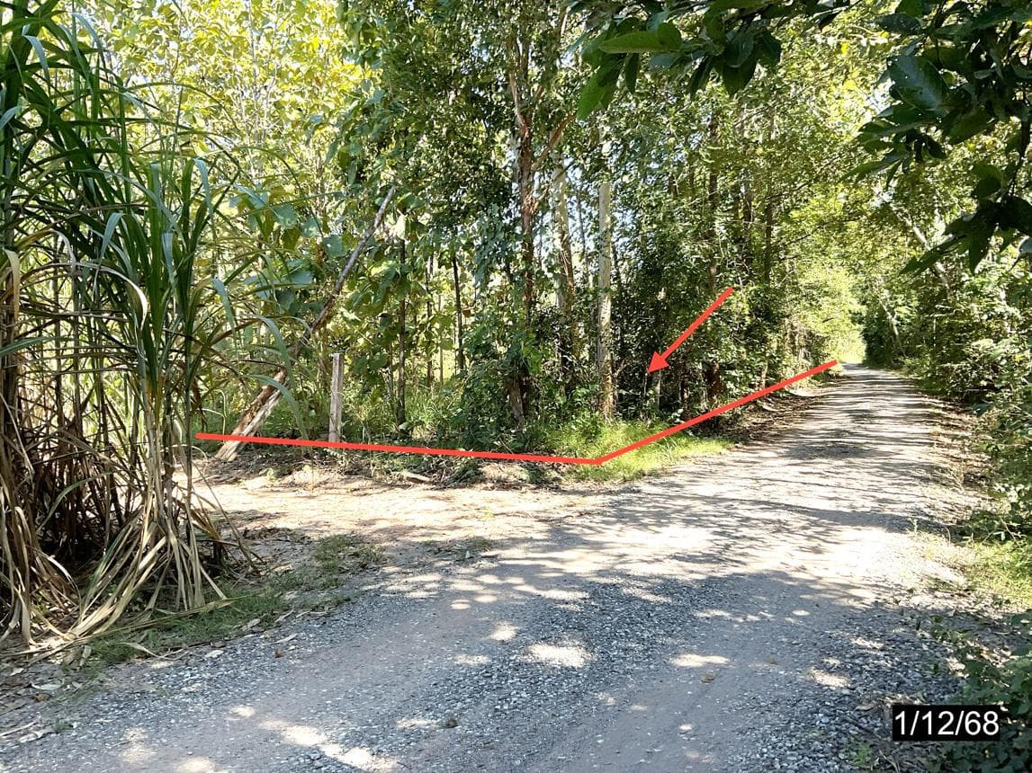 ที่ดินเปล่า เนื้อที่ 52.8 ตร.ว. ทำเลศักยภาพ โนนสะอาด ชุมแพ ขอนแก่น